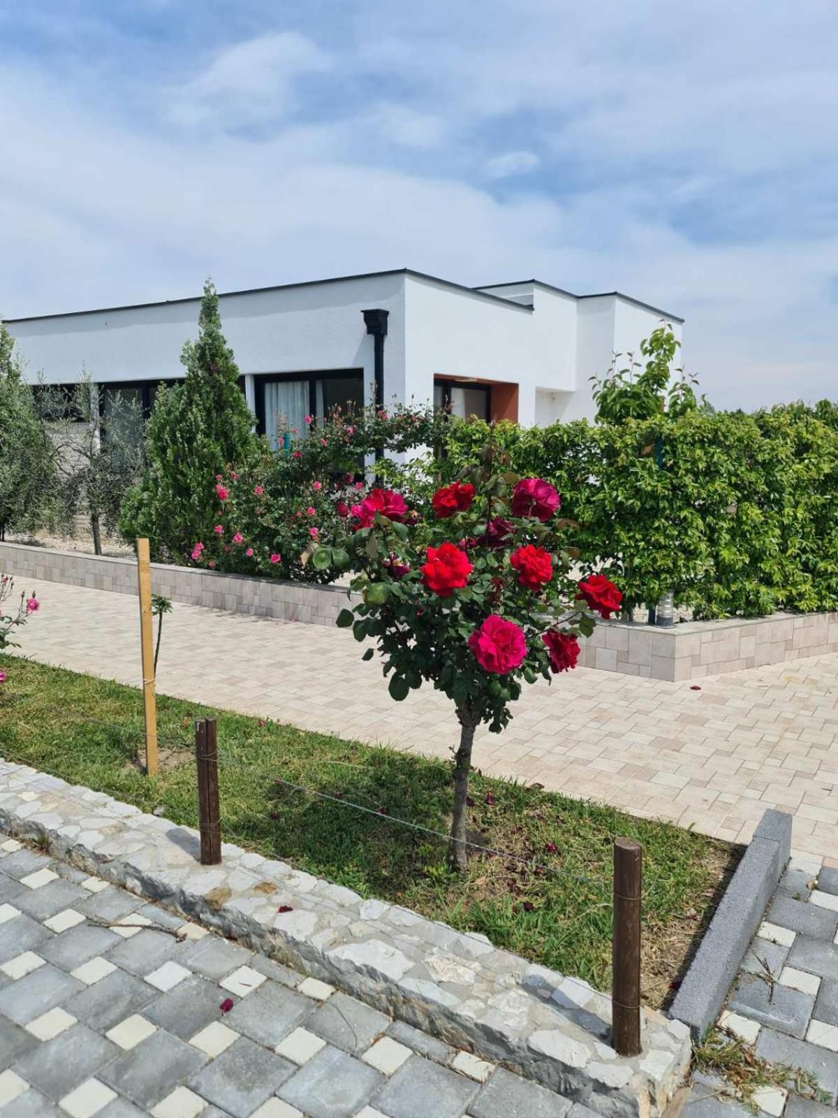 Imperial Family Resort Ulcinj Eksteriør billede